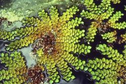 Image: Rohan Wells © Rohan Wells 